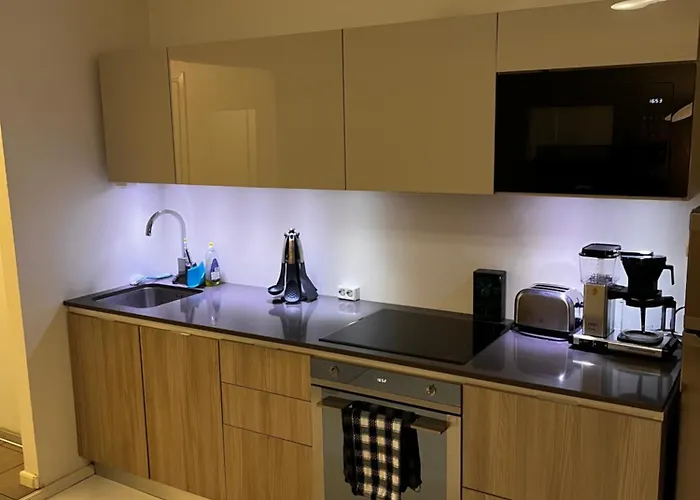 Modern With Balcony In Center Διαμέρισμα Ελσίνκι